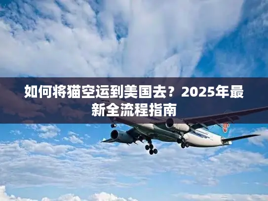 如何将猫空运到美国去？2025年最新全流程指南