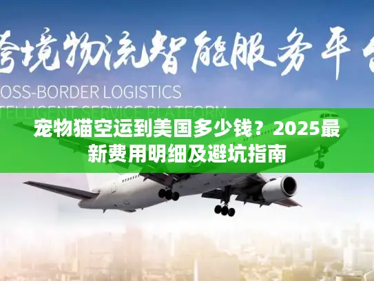 宠物猫空运到美国多少钱？2025最新费用明细及避坑指南
