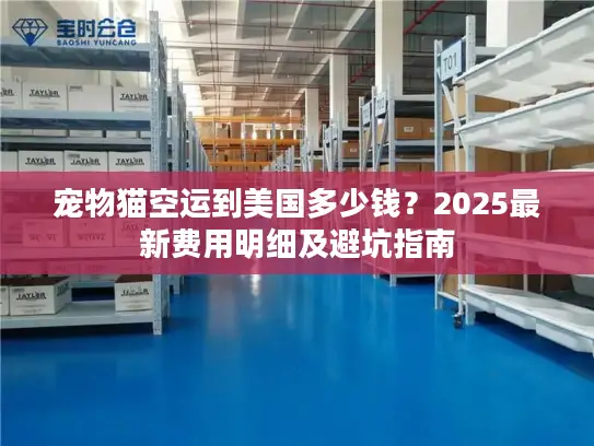 宠物猫空运到美国多少钱？2025最新费用明细及避坑指南