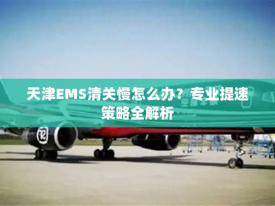 天津EMS清关慢怎么办?专业提速策略全解析 天津EMS清关慢怎么办?专业提速策略全解析