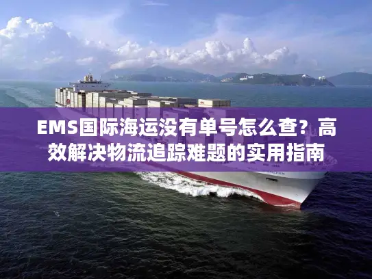 EMS国际海运没有单号怎么查？高效解决物流追踪难题的实用指南
