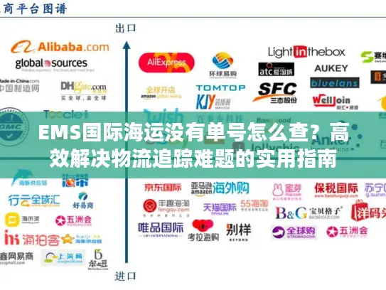 EMS国际海运没有单号怎么查？高效解决物流追踪难题的实用指南