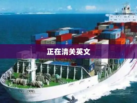 正在清关英文