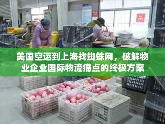 美国空运到上海找蜘蛛网，破解物业企业国际物流痛点的终极方案