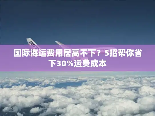 国际海运费用居高不下？5招帮你省下30%运费成本