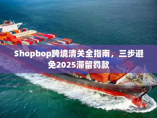 Shopbop跨境清关全指南，三步避免2025滞留罚款
