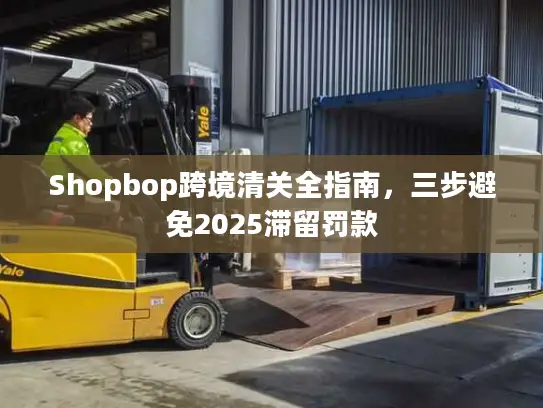 Shopbop跨境清关全指南，三步避免2025滞留罚款