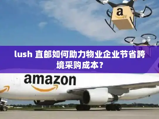 lush 直邮如何助力物业企业节省跨境采购成本？