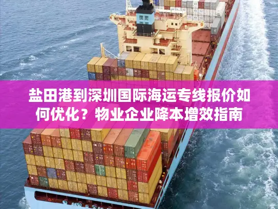 盐田港到深圳国际海运专线报价如何优化？物业企业降本增效指南