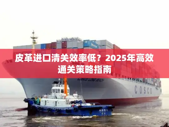 皮革进口清关效率低？2025年高效通关策略指南