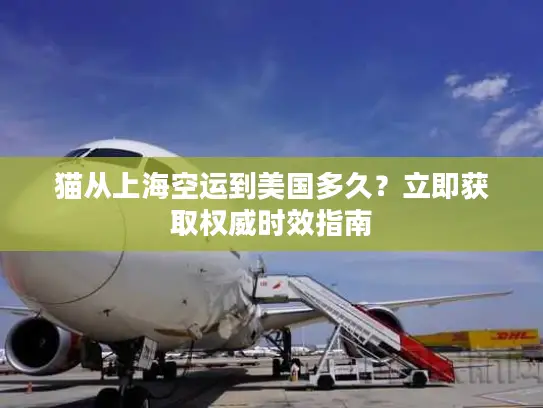 猫从上海空运到美国多久？立即获取权威时效指南