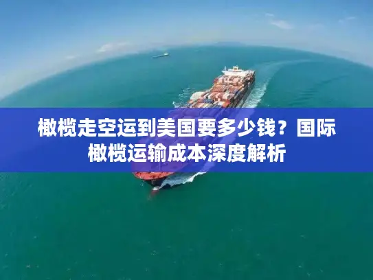橄榄走空运到美国要多少钱？国际橄榄运输成本深度解析