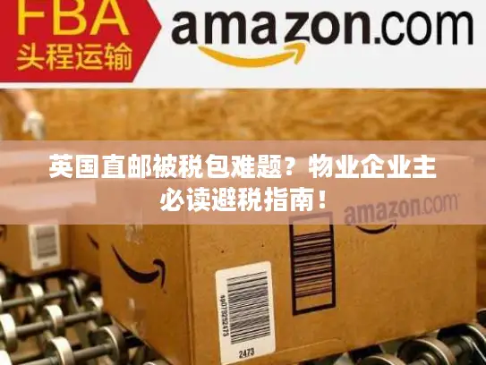 英国直邮被税包难题？物业企业主必读避税指南！