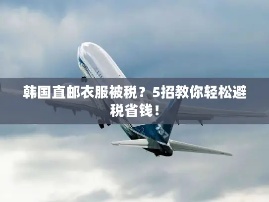 韩国直邮衣服被税？5招教你轻松避税省钱！