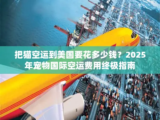 把猫空运到美国要花多少钱？2025年宠物国际空运费用终极指南