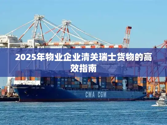 2025年物业企业清关瑞士货物的高效指南