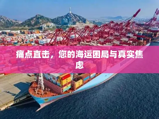痛点直击，您的海运困局与真实焦虑