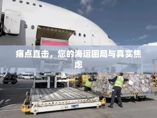 痛点直击，您的海运困局与真实焦虑