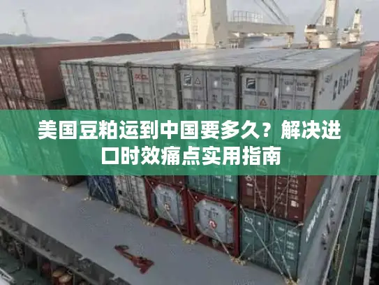 美国豆粕运到中国要多久？解决进口时效痛点实用指南