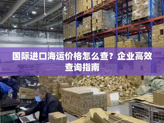 国际进口海运价格怎么查？企业高效查询指南