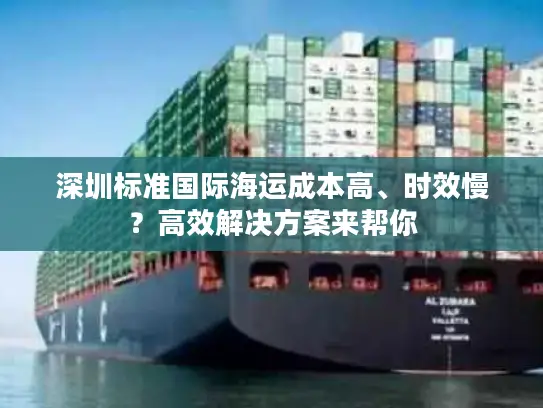 深圳标准国际海运成本高、时效慢？高效解决方案来帮你