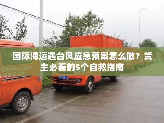 国际海运遇台风应急预案怎么做？货主必看的5个自救指南