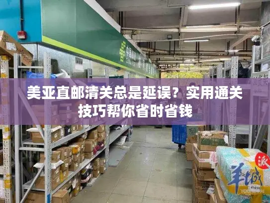 美亚直邮清关总是延误？实用通关技巧帮你省时省钱