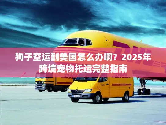 狗子空运到美国怎么办啊？2025年跨境宠物托运完整指南
