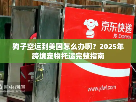 狗子空运到美国怎么办啊？2025年跨境宠物托运完整指南
