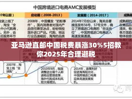 亚马逊直邮中国税费暴涨30%5招教你2025年合理避税