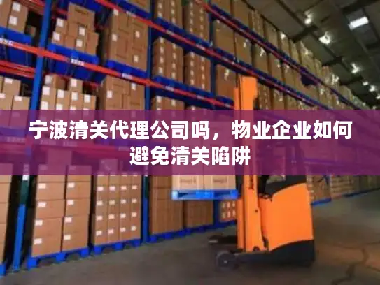宁波清关代理公司吗，物业企业如何避免清关陷阱
