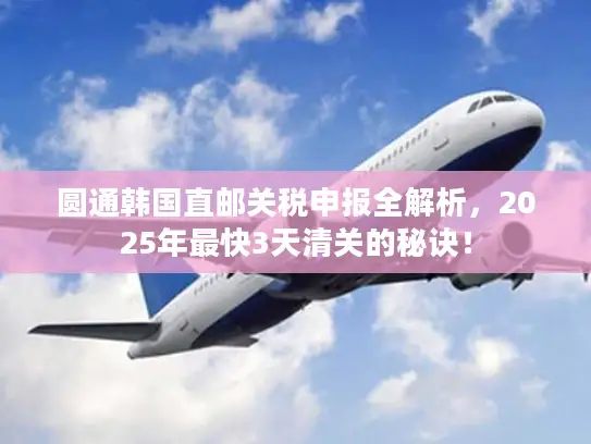 圆通韩国直邮关税申报全解析，2025年最快3天清关的秘诀！