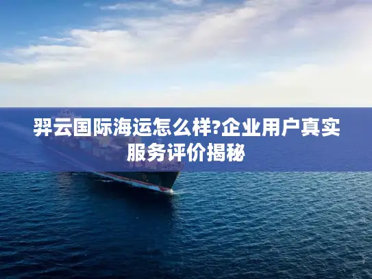 羿云国际海运怎么样?企业用户真实服务评价揭秘