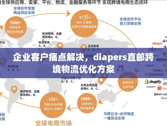 企业客户痛点解决，diapers直邮跨境物流优化方案