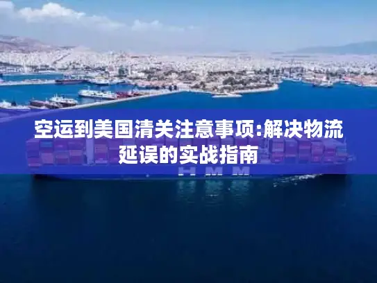 空运到美国清关注意事项:解决物流延误的实战指南