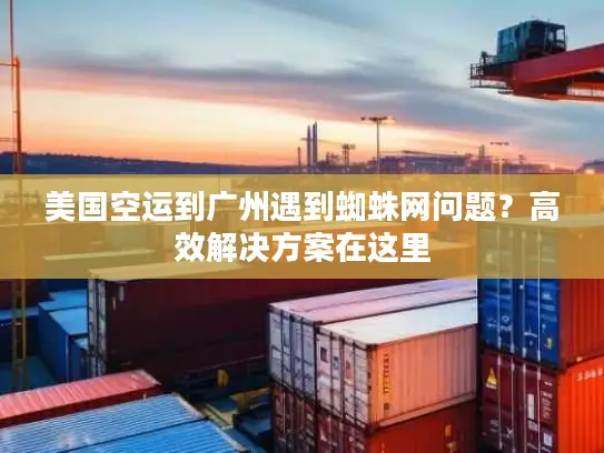 美国空运到广州遇到蜘蛛网问题？高效解决方案在这里