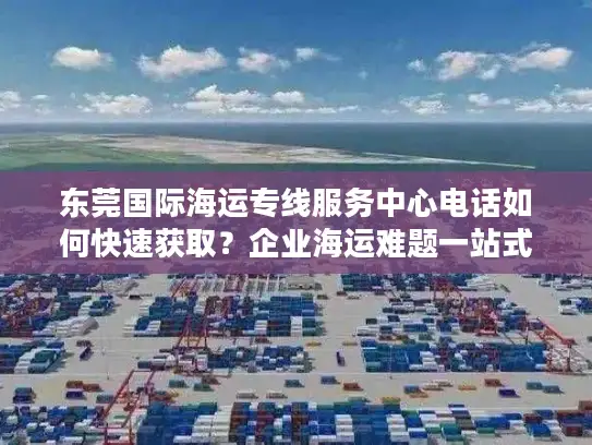 东莞国际海运专线服务中心电话如何快速获取？企业海运难题一站式解决