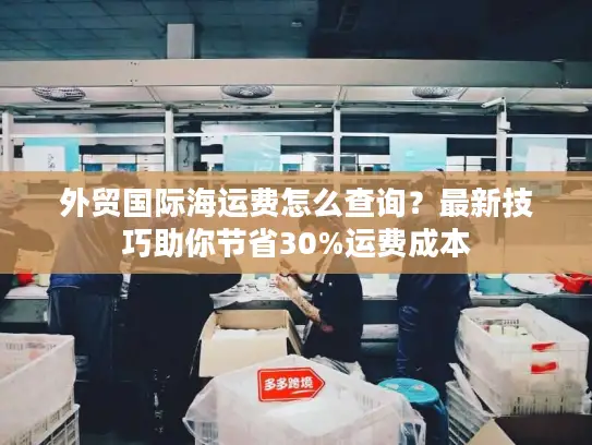外贸国际海运费怎么查询？最新技巧助你节省30%运费成本