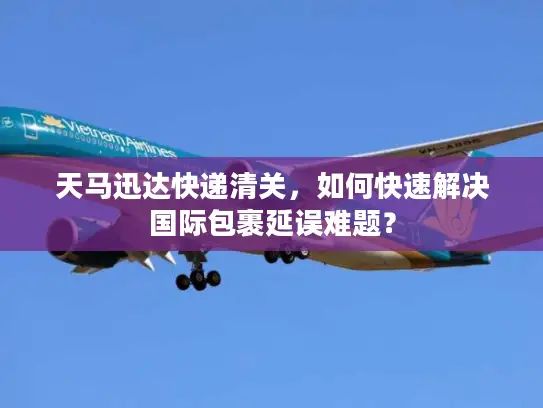 天马迅达快递清关，如何快速解决国际包裹延误难题？