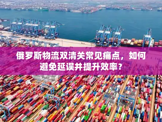 俄罗斯物流双清关常见痛点，如何避免延误并提升效率？