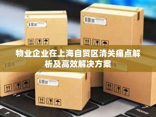 物业企业在上海自贸区清关痛点解析及高效解决方案