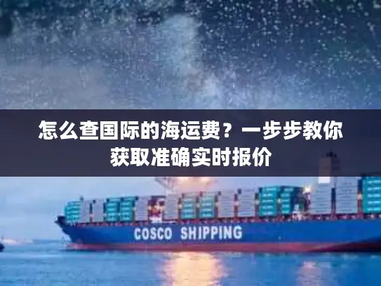 怎么查国际的海运费？一步步教你获取准确实时报价