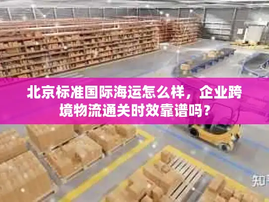 北京标准国际海运怎么样，企业跨境物流通关时效靠谱吗？