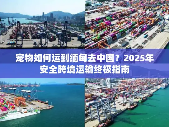 宠物如何运到缅甸去中国？2025年安全跨境运输终极指南