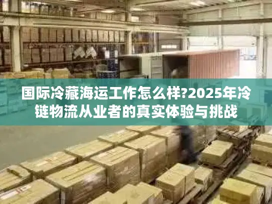 国际冷藏海运工作怎么样?2025年冷链物流从业者的真实体验与挑战