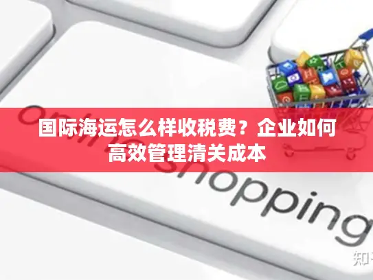国际海运怎么样收税费？企业如何高效管理清关成本