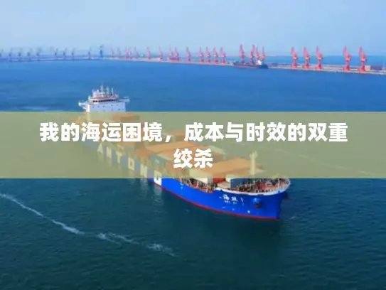 我的海运困境，成本与时效的双重绞杀