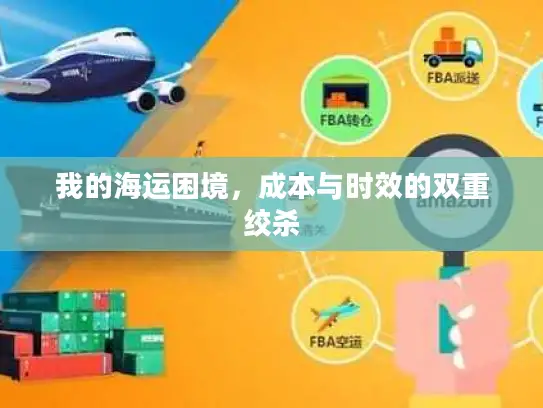 我的海运困境，成本与时效的双重绞杀