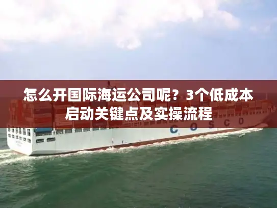 怎么开国际海运公司呢？3个低成本启动关键点及实操流程