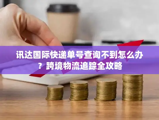 讯达国际快递单号查询不到怎么办？跨境物流追踪全攻略